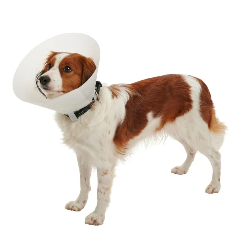 KRUUSE Buster Collar Classic Dog 1 KRUUSE Buster Collar Classic Dog