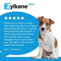 Zylkene® Plus Calming Supplement Capsules For Dogs & Cats -Pet Supplies 303a1195f14d96b86071170e3967bde445f8fad1be46e7d4bf5559d1715880d3