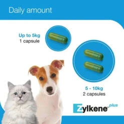 Zylkene® Plus Calming Supplement Capsules For Dogs & Cats -Pet Supplies 3749507c2be1f61208450c7db3aa391de19740ee2ff8801be8b37922b3c5eef2