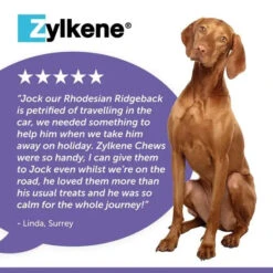 Zylkene® Calming Chews For Dogs -Pet Supplies 416d825e99a055c21ebef1463ff75f994f94c6cabe4aedf297e6a6ebe54bf1fc
