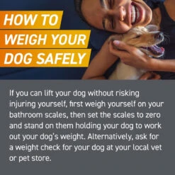 FRONTPRO® Chewable Tablets Flea And Tick Treatment For Dogs -Pet Supplies 4b9ab9c6a46c56a9508037b11dcc1c8e