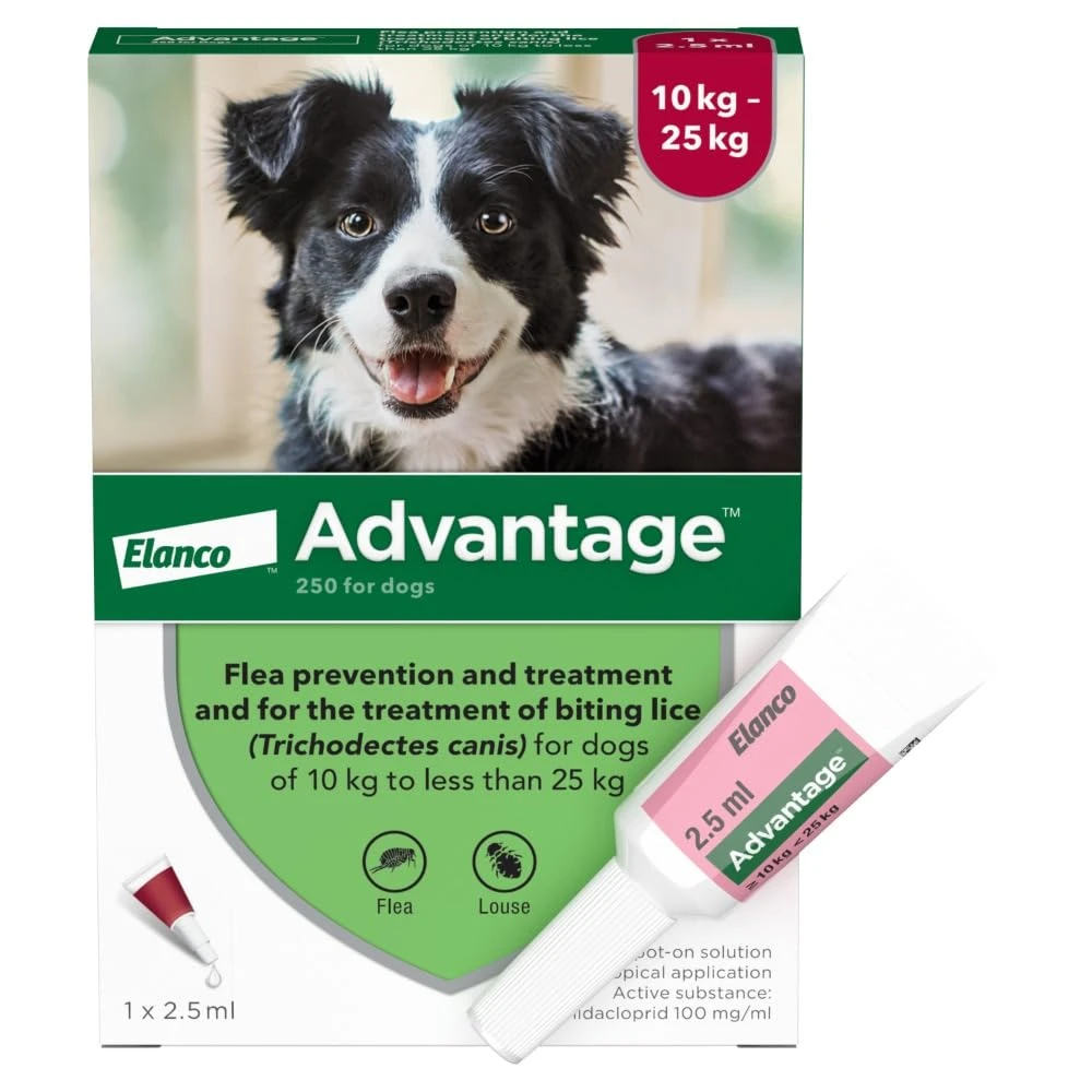 Advantage 250 Spot On Dog Flea Treatment For Dogs 1 Advantage 250 Spot On Dog Flea Treatment For Dogs