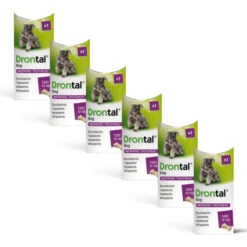 6x Drontal Tasty Bone Wormer Tablets For Small And Medium Dogs (2 To 20kg) 1 Tablet Per 10kg