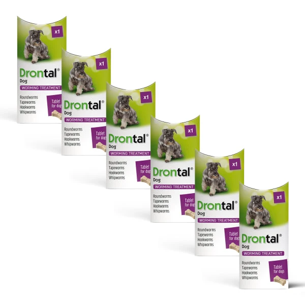 6x Drontal Tasty Bone Wormer Tablets For Small And Medium Dogs (2 To 20kg) 1 Tablet Per 10kg 1 6x Drontal Tasty Bone Wormer Tablets For Small And Medium Dogs (2 To 20kg) 1 Tablet Per 10kg