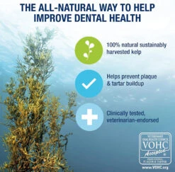 Proden PlaqueOff Powder For Dog & Cat 12 Proden PlaqueOff Powder For Dog & Cat -Pet Supplies 900 18957 02