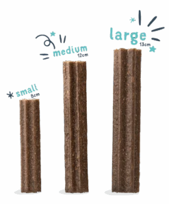 Edgard & Cooper Edgard Cooper Dog Dental Apple/Eucalyptus -Pet Supplies DoggyDentalE commerceSizeComparisonSmallMediumLargeDentalStick 1500x 20bf5a05 a9ec 4473 bbc3 3e5a4946e1e7