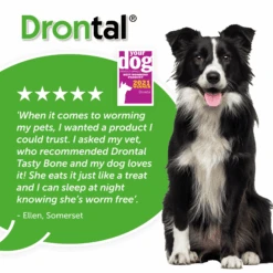 6x Drontal Tasty Bone Wormer Tablets For Small And Medium Dogs (2 To 20kg) 1 Tablet Per 10kg 10 6x Drontal Tasty Bone Wormer Tablets For Small And Medium Dogs (2 To 20kg) 1 Tablet Per 10kg -Pet Supplies DrontalTastyBone Review