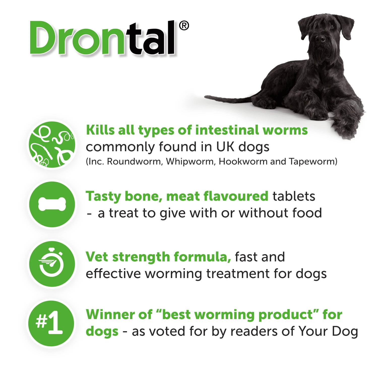 6x Drontal Tasty Bone Wormer Tablets For Small And Medium Dogs (2 To 20kg) 1 Tablet Per 10kg 4 6x Drontal Tasty Bone Wormer Tablets For Small And Medium Dogs (2 To 20kg) 1 Tablet Per 10kg - Image 4