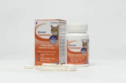Feliway Cystease Advanced Urinary Tract Supplement 11 Feliway Cystease Advanced Urinary Tract Supplement -Pet Supplies I0040254 en 03 84823.1710539352.386.513