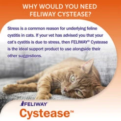 Feliway Cystease Advanced Urinary Tract Supplement 15 Feliway Cystease Advanced Urinary Tract Supplement -Pet Supplies I0040254 en 07 91309.1710539352.386.513