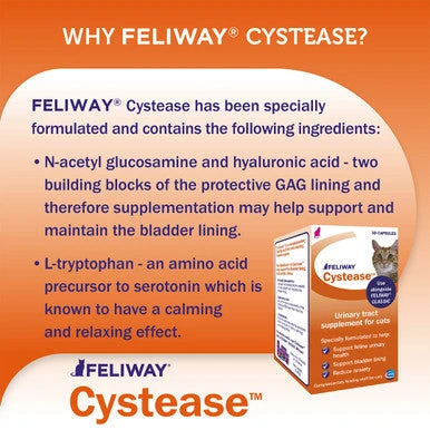 Feliway Cystease Advanced Urinary Tract Supplement 9 Feliway Cystease Advanced Urinary Tract Supplement - Image 9
