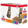 Hill's Hills Science Plan Feline Adult 1-6 Favourite Selction Pouches