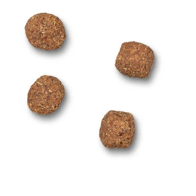 James Wellbeloved Senior Dry Dog Food - Lamb & Rice 4 James Wellbeloved Senior Dry Dog Food - Lamb & Rice - Image 4