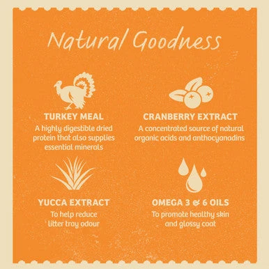 James WellbelovedAdult Cat - Turkey Oral Health 5 James WellbelovedAdult Cat - Turkey Oral Health - Image 5