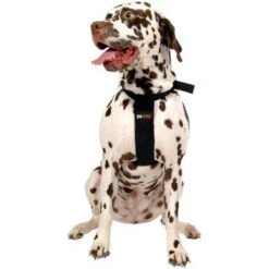 Pet Brands Rac Dog Car Harness -Pet Supplies I0044206 en 02 50361.1710539283.386.513