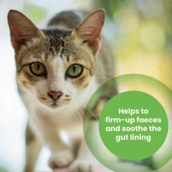 Protexin Pro-Kolin Probiotic Paste For Dog & Cat -Pet Supplies I0044872 en 03 01561.1700637394.386.513