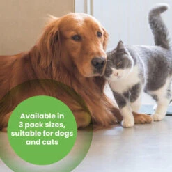 Protexin Pro-Kolin Probiotic Paste For Dog & Cat -Pet Supplies I0044872 en 04 49877.1700637393.386.513