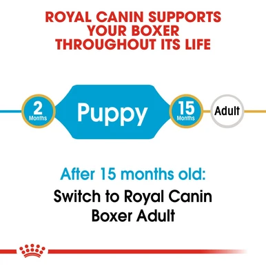 Royal Canin Boxer Puppy Dry Dog Food 3 Royal Canin Boxer Puppy Dry Dog Food - Image 3