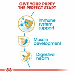 Royal Canin Boxer Puppy Dry Dog Food 13 Royal Canin Boxer Puppy Dry Dog Food -Pet Supplies I0045285 en 05 77033.1710539286.386.513