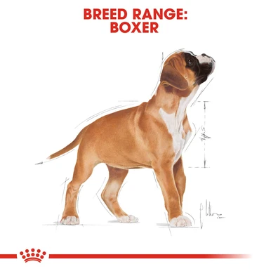 Royal Canin Boxer Puppy Dry Dog Food 6 Royal Canin Boxer Puppy Dry Dog Food - Image 6
