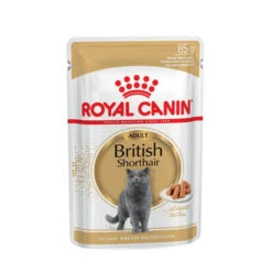 Royal Canin British Shorthair Adult Dry Cat Food