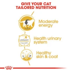 Royal Canin British Shorthair Adult Dry Cat Food -Pet Supplies I0045287 en 08 28627.1700637459.386.513