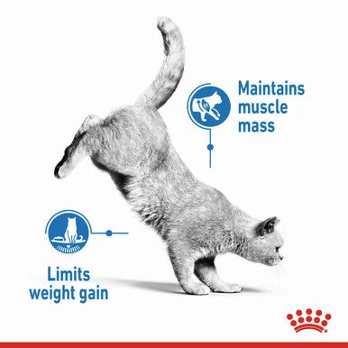 Royal Canin Light Weight Care Adult Dry Cat Food 2 Royal Canin Light Weight Care Adult Dry Cat Food - Image 2