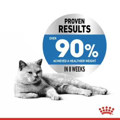 Royal Canin Light Weight Care Adult Dry Cat Food 3 Royal Canin Light Weight Care Adult Dry Cat Food - Image 3