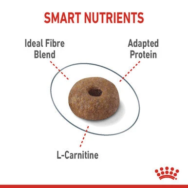 Royal Canin Light Weight Care Adult Dry Cat Food 4 Royal Canin Light Weight Care Adult Dry Cat Food - Image 4