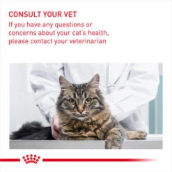 Royal Canin Light Weight Care Adult Dry Cat Food 17 Royal Canin Light Weight Care Adult Dry Cat Food -Pet Supplies I0045372 en 08 16264.1700637683.386.513