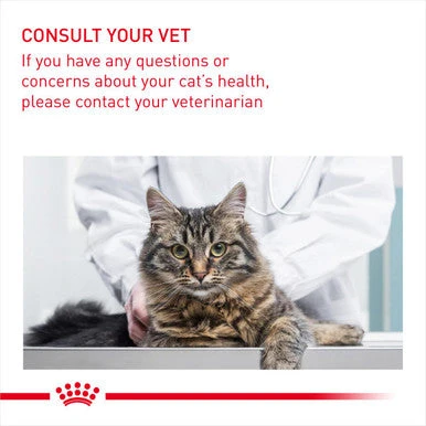 Royal Canin Light Weight Care Adult Dry Cat Food 8 Royal Canin Light Weight Care Adult Dry Cat Food - Image 8