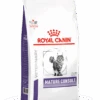 Royal Canin Veterinary Diet Mature Consult Balance Dry Cat Food