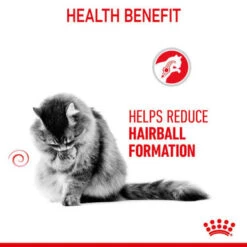Royal Canin Intense Hairball 34 Adult Dry Cat Food -Pet Supplies I0045418 en 05 43480.1710539310.386.513