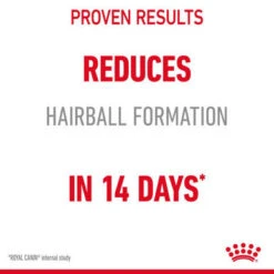 Royal Canin Intense Hairball 34 Adult Dry Cat Food -Pet Supplies I0045418 en 06 75213.1710539311.386.513