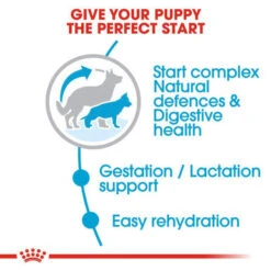 Royal Canin Starter Maxi Mother And Babydog Dry Dog Food -Pet Supplies I0045442 en 05 71361.1700637838.386.513