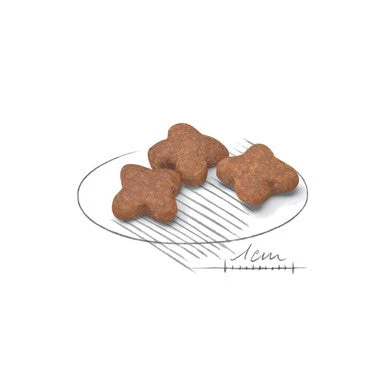 Royal Canin Mini Adult 8+ Dry Dog Food 8 Royal Canin Mini Adult 8+ Dry Dog Food - Image 8