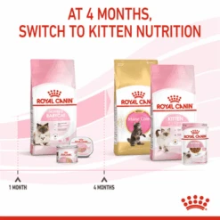 Royal Canin Mother & Babycat Adult/Kitten Dry Cat Food -Pet Supplies I0045470 en 05 14482.1710539312.386.513