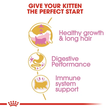 Royal Canin Persian Kitten Dry Cat Food 5 Royal Canin Persian Kitten Dry Cat Food - Image 5