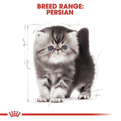 Royal Canin Persian Kitten Dry Cat Food 6 Royal Canin Persian Kitten Dry Cat Food - Image 6