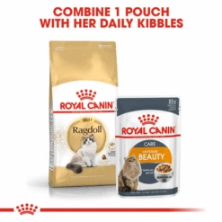 Royal Canin Ragdoll Adult Dry Cat Food 13 Royal Canin Ragdoll Adult Dry Cat Food -Pet Supplies I0045491 en 06 03939.1710539319.386.513