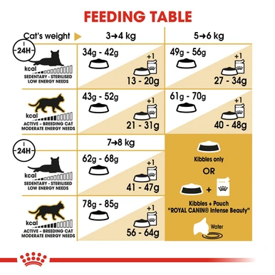 Royal Canin Ragdoll Adult Dry Cat Food 7 Royal Canin Ragdoll Adult Dry Cat Food - Image 7