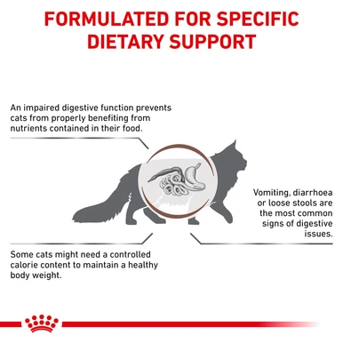 Royal Canin Veterinary Diet Gastrointestinal Moderate Calorie Adult Dry Cat Food 7 Royal Canin Veterinary Diet Gastrointestinal Moderate Calorie Adult Dry Cat Food - Image 7