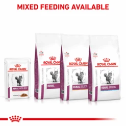 Royal Canin Veterinary Diet Renal Adult Wet Cat Food - Beef -Pet Supplies I0045532 en 03 62831.1710539322.386.513