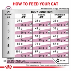Royal Canin Veterinary Diet Renal Special Adult Dry Cat Food 12 Royal Canin Veterinary Diet Renal Special Adult Dry Cat Food -Pet Supplies I0045533 en 04 72508.1710539330.386.513