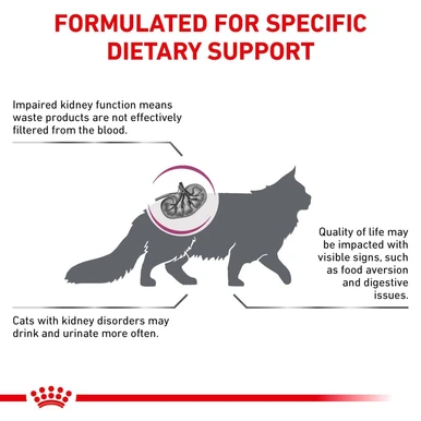 Royal Canin Veterinary Diet Renal Special Adult Dry Cat Food 6 Royal Canin Veterinary Diet Renal Special Adult Dry Cat Food - Image 6
