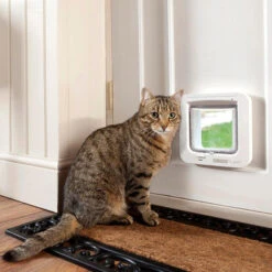 Sureflap Microchip Cat Flap - White 9 Sureflap Microchip Cat Flap - White -Pet Supplies I0046467 en 04 53888.1710539325.386.513