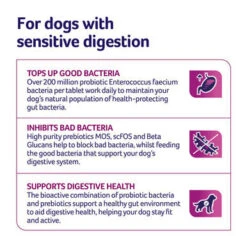 YuMOVE Digestive Care Dog Supplement Tablets -Pet Supplies I0047777 en 03 27262.1700638215.386.513