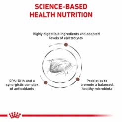 Royal Canin Veterinary Diet Gastrointestinal Adult Dry Cat Food -Pet Supplies I0050032 en 03 76203.1710539368.386.513