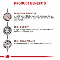 Royal Canin Veterinary Diet Gastrointestinal Adult Dry Cat Food -Pet Supplies I0050032 en 05 43748.1710539369.386.513