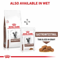 Royal Canin Veterinary Diet Gastrointestinal Adult Dry Cat Food -Pet Supplies I0050032 en 06 49326.1710539369.386.513